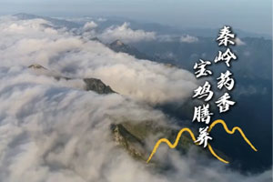 ����ҩ�� ��������